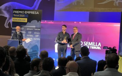 PREMIOS EMPRESA TERUEL 2025